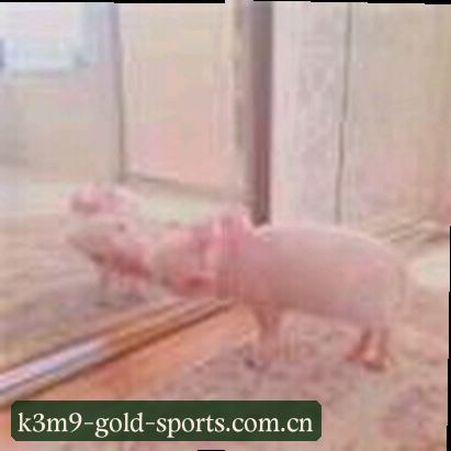 李阳